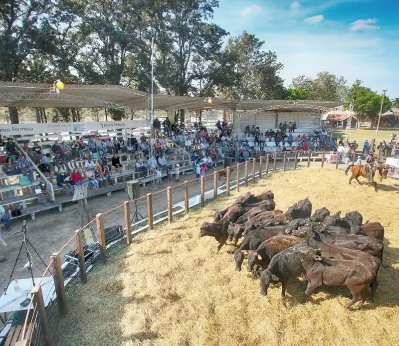 Vuelve la Expo Rural entre el 31
de agosto y el 3 de septiembre