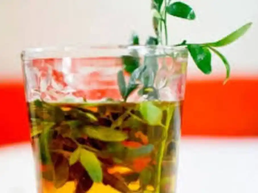 la bebida se origino en el noreste de nuestro país (Foto: gentilezas)