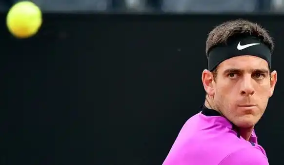 ATP de Lyon: Del Potro fue eliminado por Elias en octavos