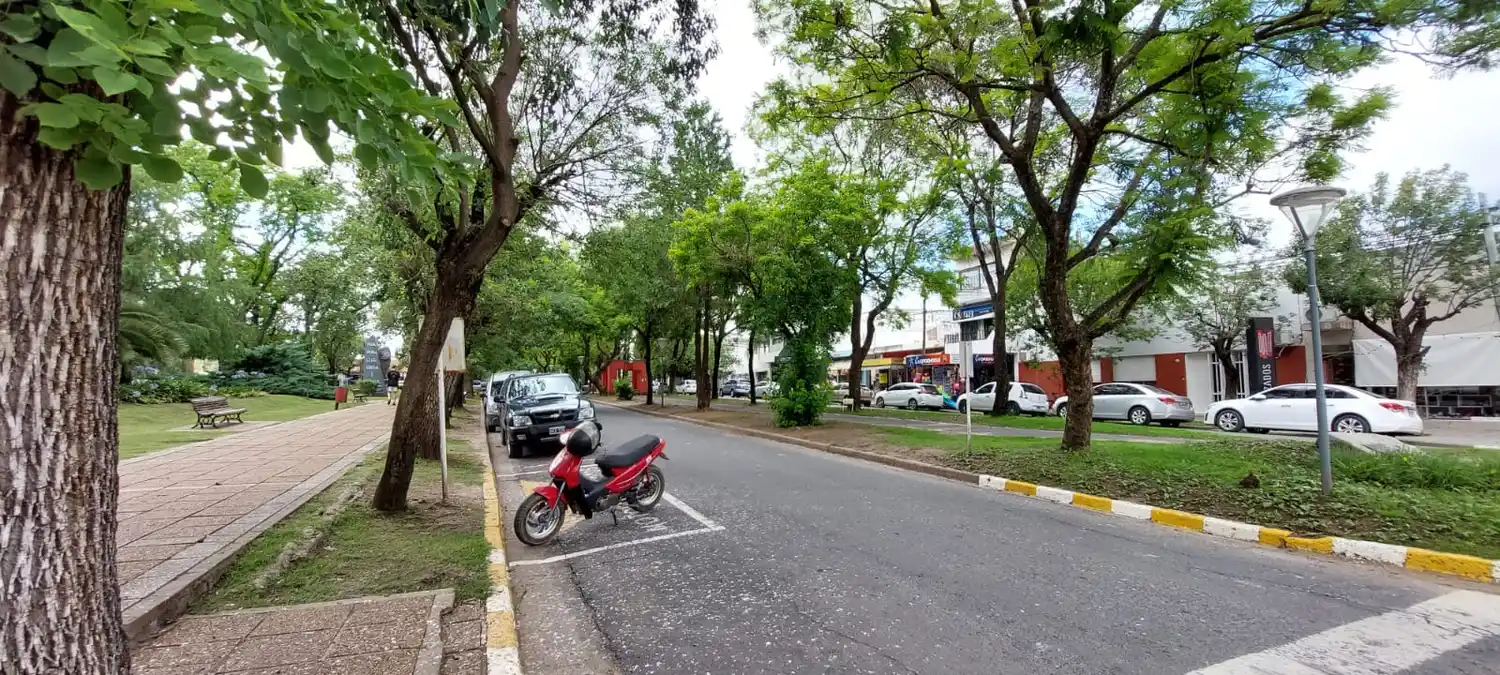 El Centro Comercial plantea un dilema mientras el municipio trata de equilibrar las necesidades de emprendedores y comerciantes