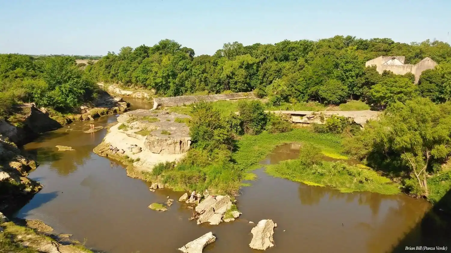 Un grupo de científicos investigó por qué vivir en un ambiente rodeado de vegetación y pájaros es beneficioso para la salud mental