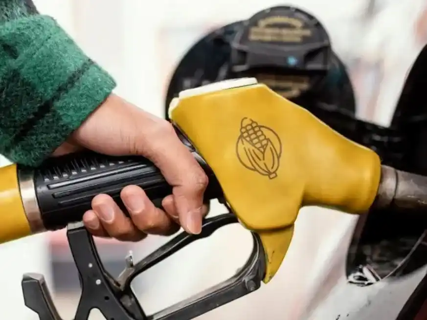 Uno de los grandes impulsos al crush viene por la fuerte suba en el consumo de biocombustibles.