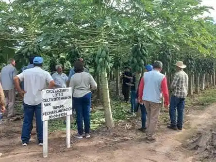 El Centro de Validación de Tecnologías
Agropecuarias celebra 28 años de su creación