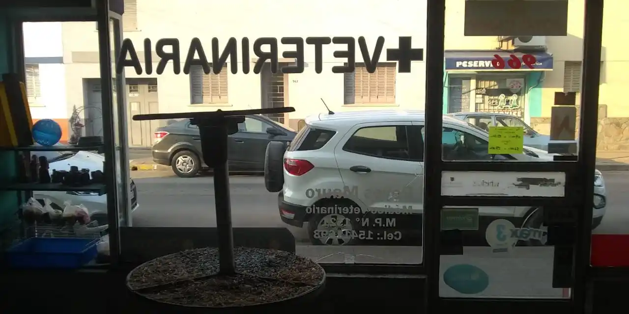 Habló la dueña de los guacamayos: "Vamos a luchar para recuperarlos, son parte de la familia"