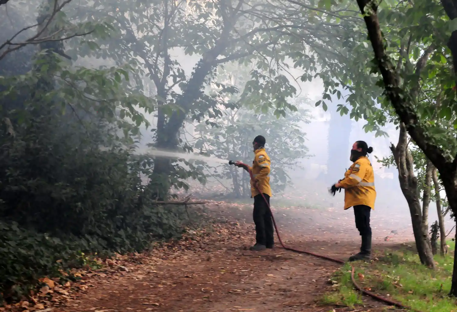 El accionar de los bomberos sobre las llamas que avanzaban sobre la vivienda.