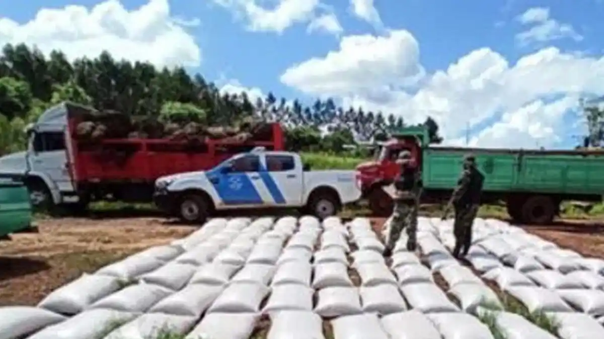Decomisan más de 17 toneladas de granos en Misiones