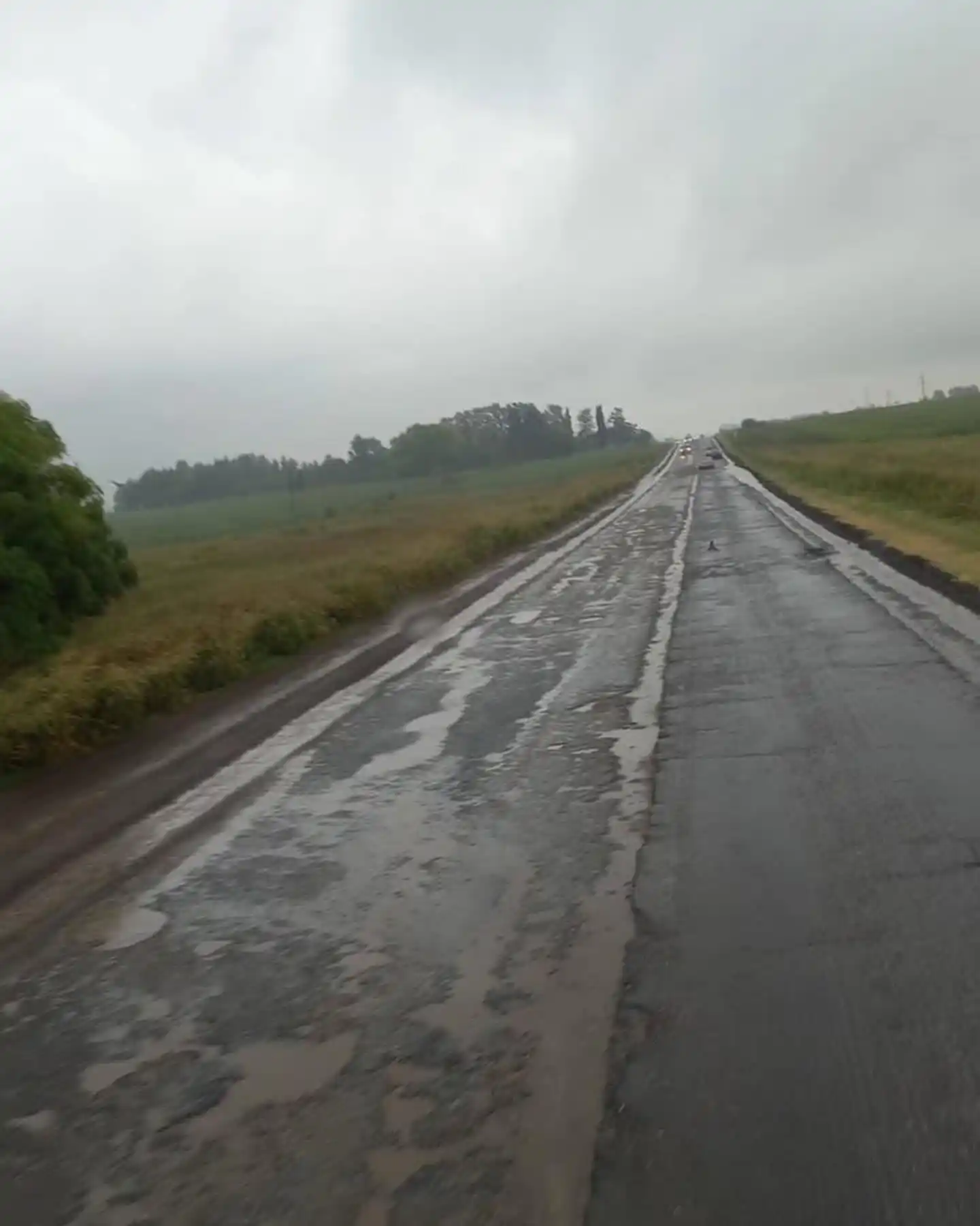 ¿Qué hay de la desastrosa ruta Crespo-Segui?