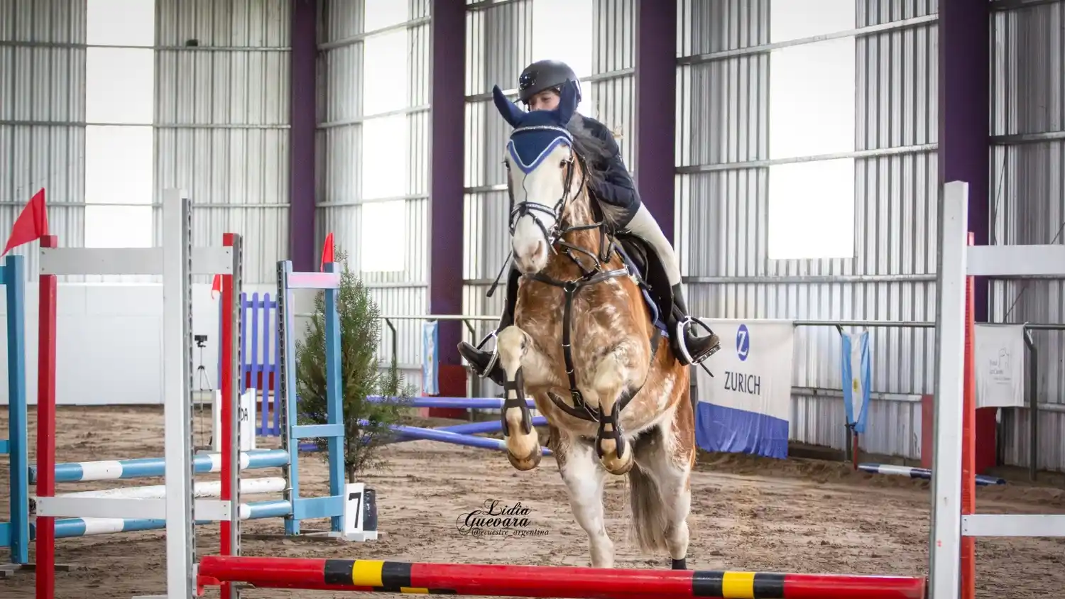 Todo listo para una nueva fecha del circuito de salto hípico en Los Abuelos