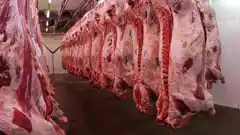 Volvió a caer el consumo de carne y acumula 17,5% en 2024