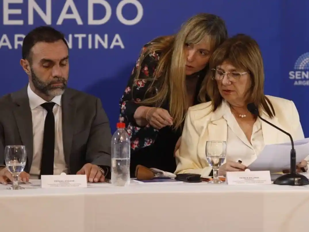 El oficialismo convocó a las comisiones para tratar los dos proyectos que ya tienen media sanción de Diputados.