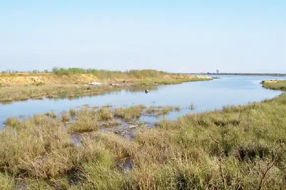 La Izquierda reflota la Ley de humedales y pide interpelar al ministro Cabandié