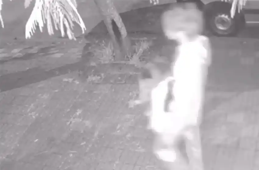 Horror en Parque Luro: investigan al menor que habría asesinado animales en el barrio