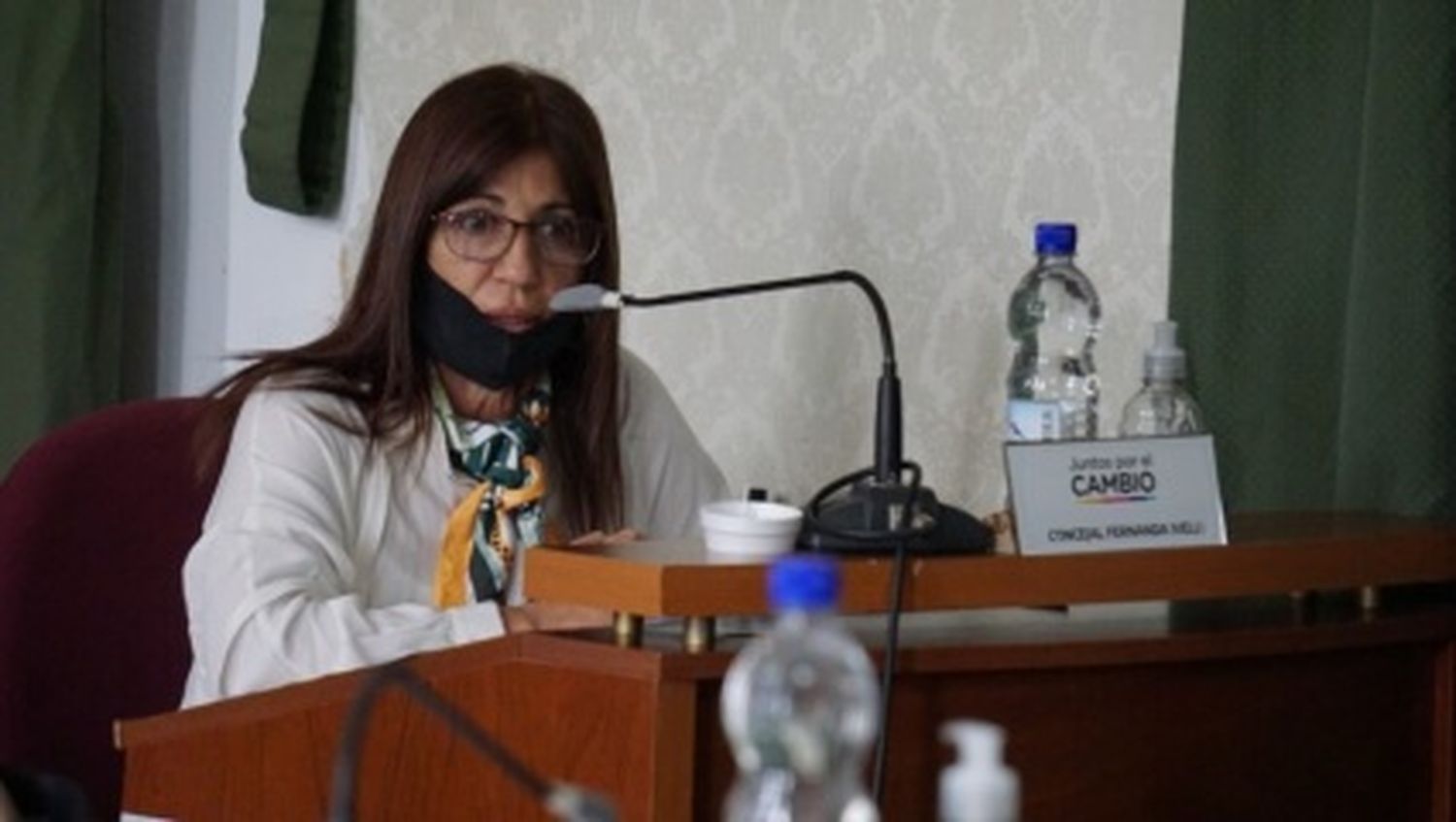 Ensenada: Una concejal de JxC asegura que Mario Secco le robó su proyecto y dice que al FdT "no se le cae una idea"
