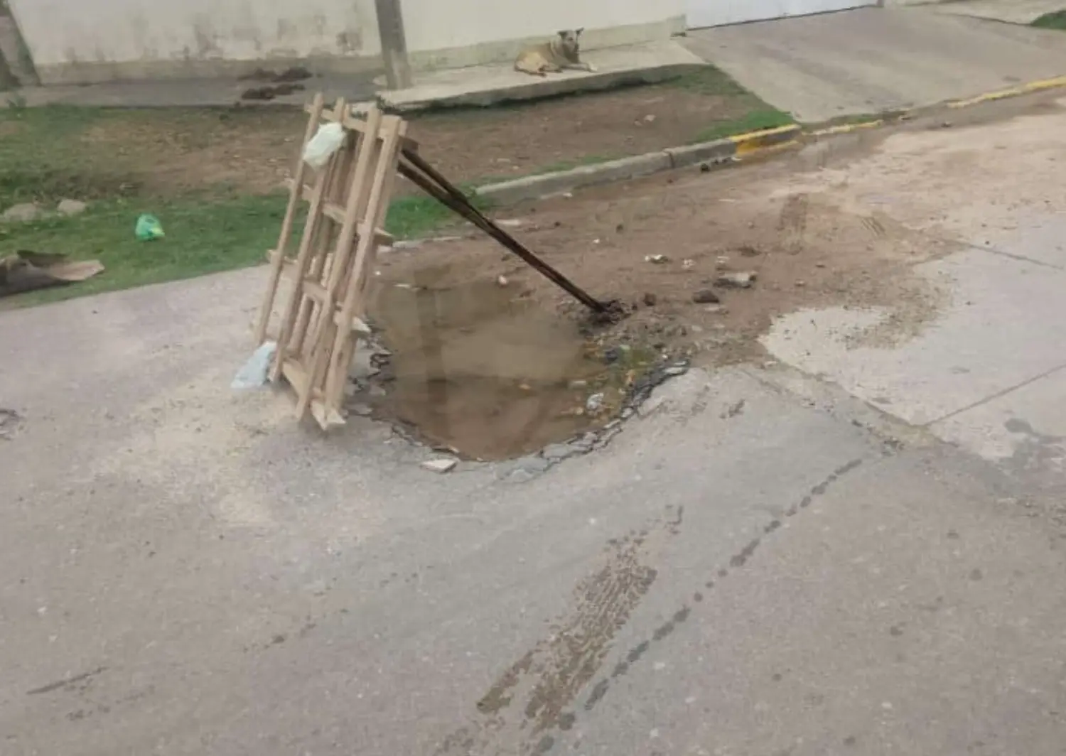 "¿Están esperando que pase una tragedia para venir a arreglar?"