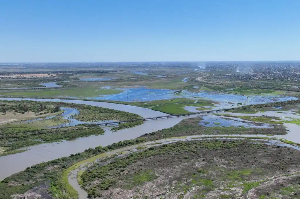 Alerta en Santa Fe: los sábalos en el río Salado registran el nivel de agrotóxicos más alto del mundo