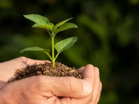 El Gobierno de Entre Ríos lanza Viví vERde, una campaña para promover la conciencia ambiental y la participación ciudadana