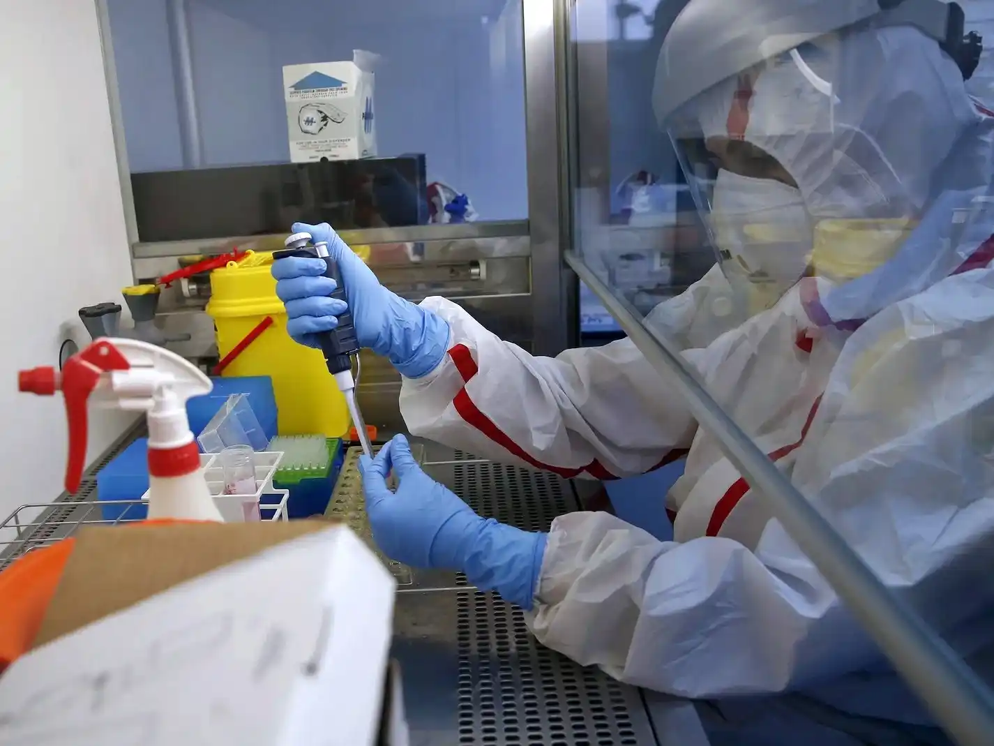 Viruela del mono en la Argentina: los casos crecieron 60% en las últimas cuatro semanas