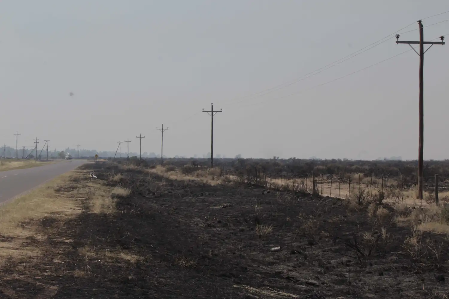 El incendio destruyó unas 963.016 hectáreas de campo