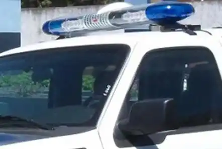 Atrapados in fraganti cuando llevaban un tubo de gas y una bordeadora