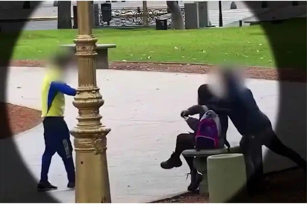 Arrebato en plaza San Martín