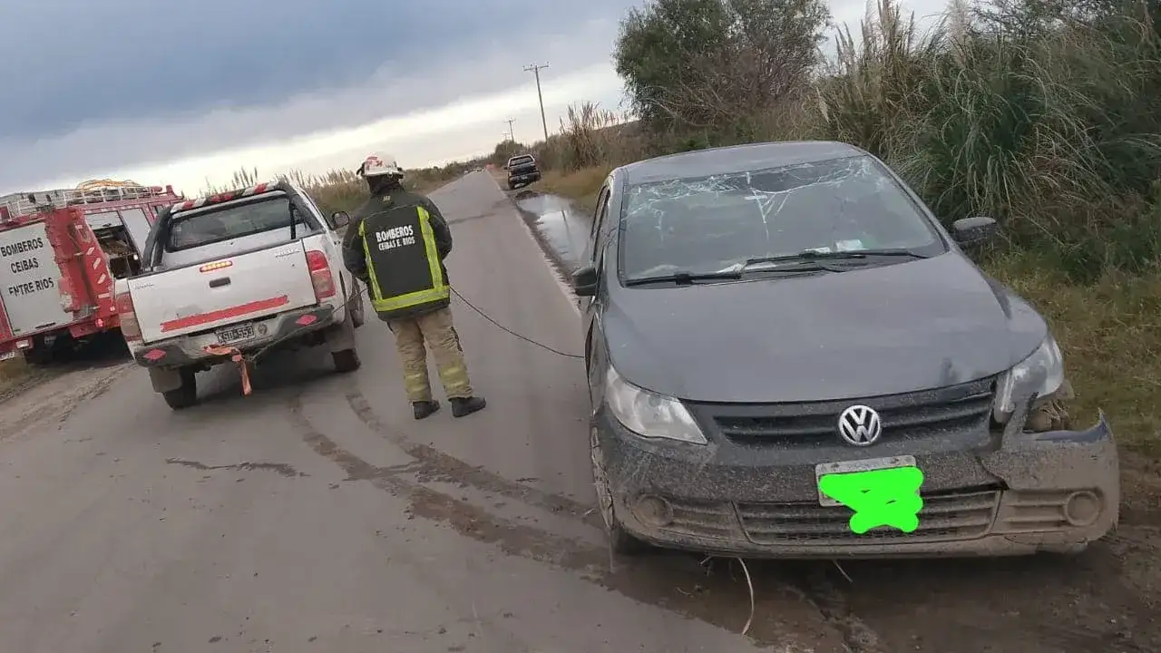 Ruta 12: un conductor perdió el control y terminó contra un árbol en Ceibas