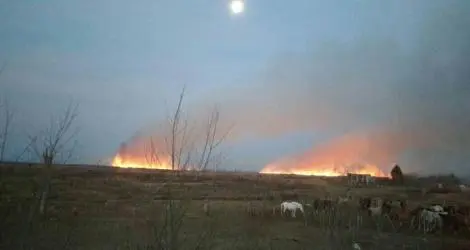 Siguen los incendios intencionales