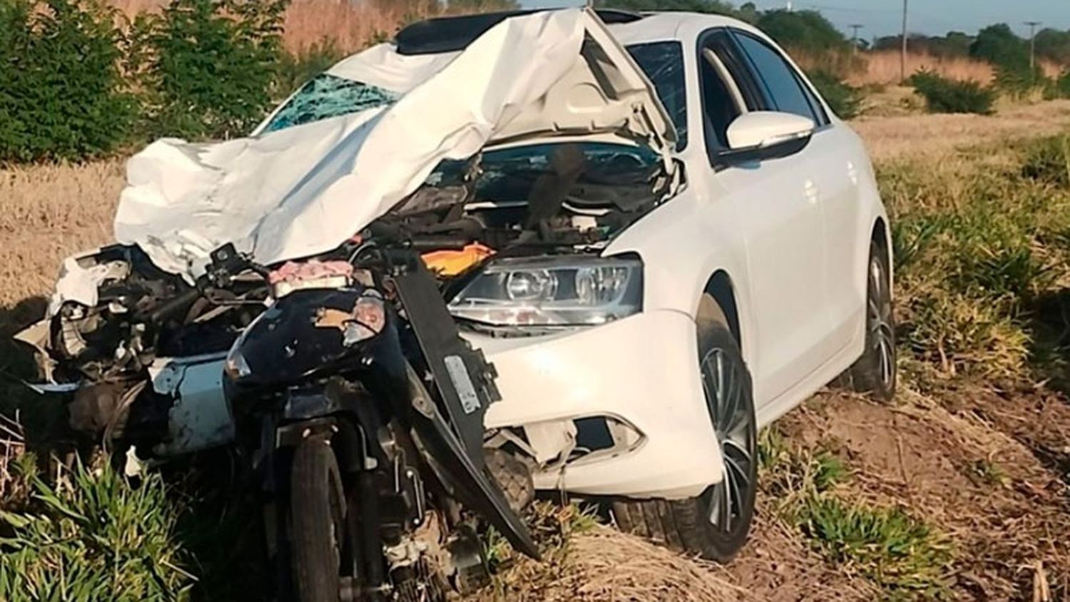 Cuatro jóvenes perdieron la vida al ser embestidos por un auto