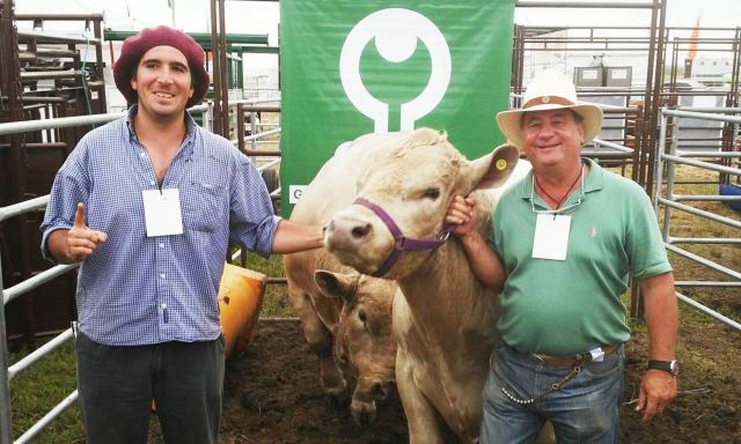 Raza Murray Grey: excelente desempeño de cabañeros locales en la ExpoAgro 2016