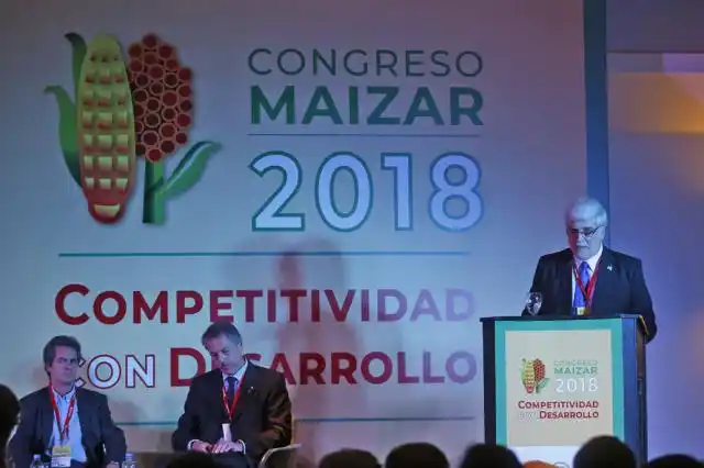 Congreso Maizar: destacan que más de la mitad de los productores de maíz ya usa alta tecnología