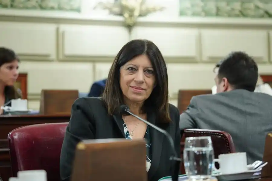Clara García: "Vamos por cinco semanas con paros docentes porque Perotti no quiso detener el conflicto"