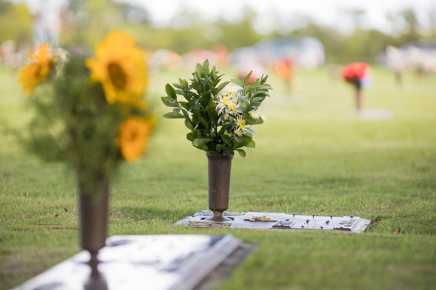 Cementerio para animales