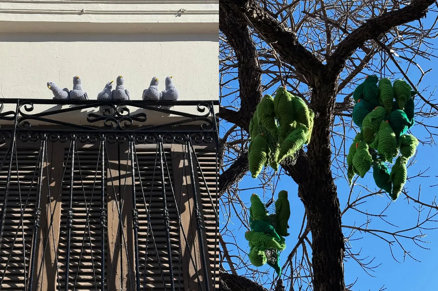 Los árboles de Rafaela se llenaron de aves tejidas en una nueva intervención de Bomba de Lana