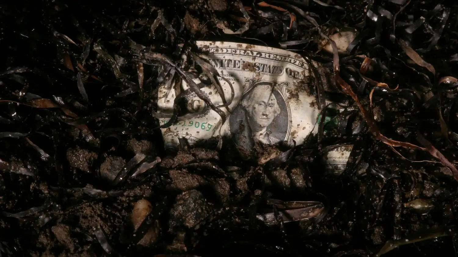En busca del dólar perdido