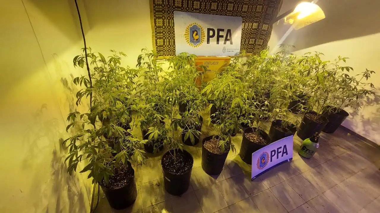 La investigación comenzó en mayo pasado.