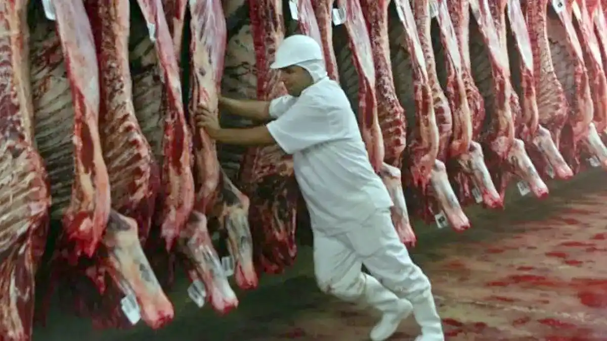 En octubre la faena de hacienda vacuna cayó un 6,4% interanual