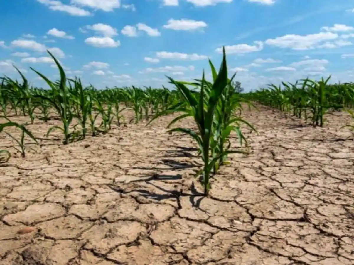 “La Niña” no se va 