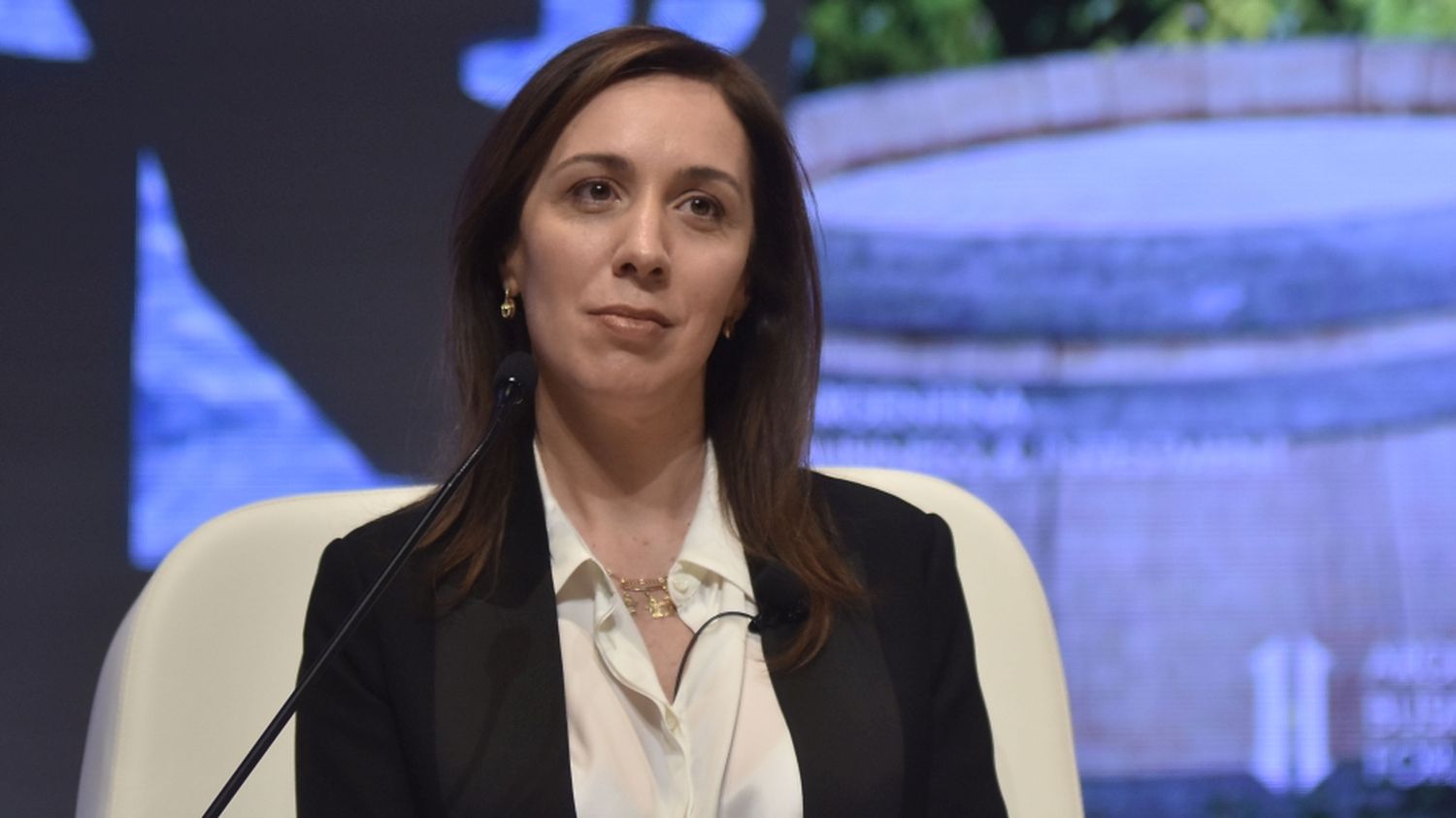 Para Vidal "la marcha fue conmovedora porque demostró que hay una Argentina que apoya la democracia"