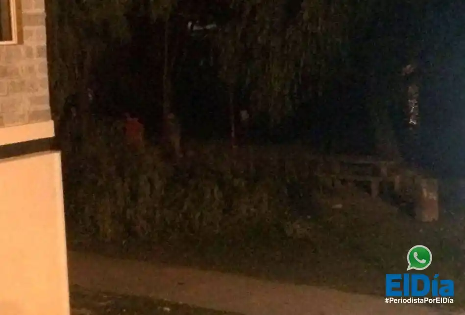 #PeriodistaPorElDía: denuncian la quita de árboles del balneario 