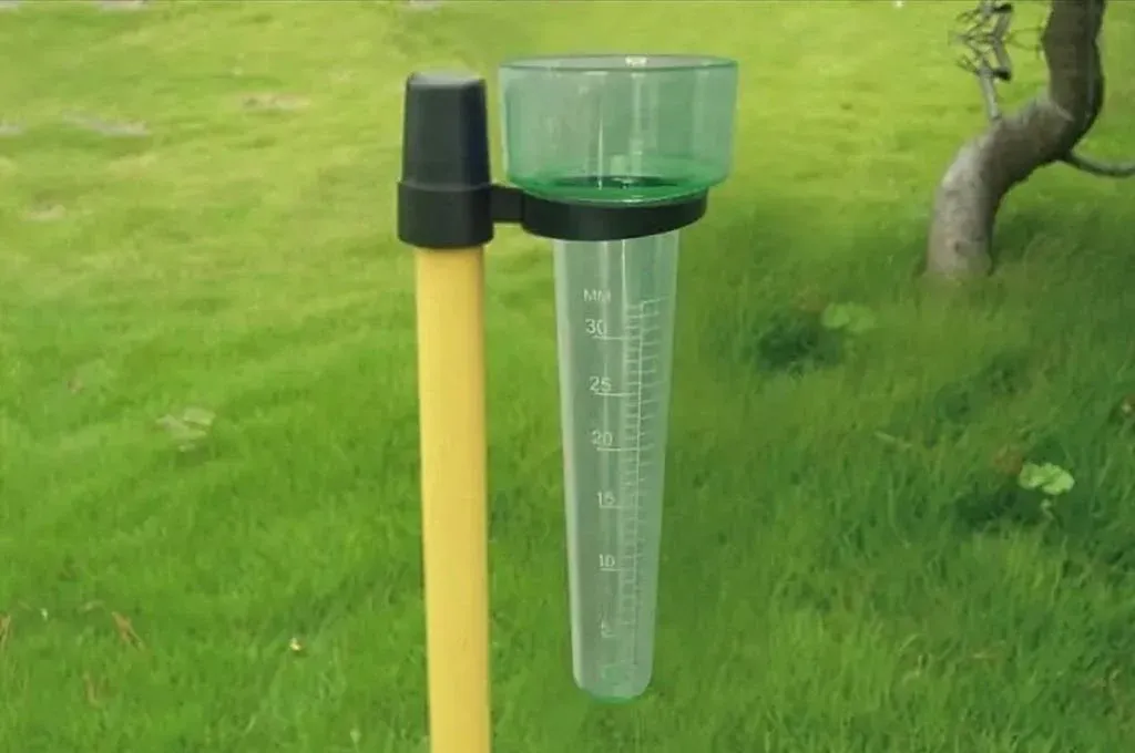 Moderadas lluvias en Gualeguay: enterate de cuanto llovió
