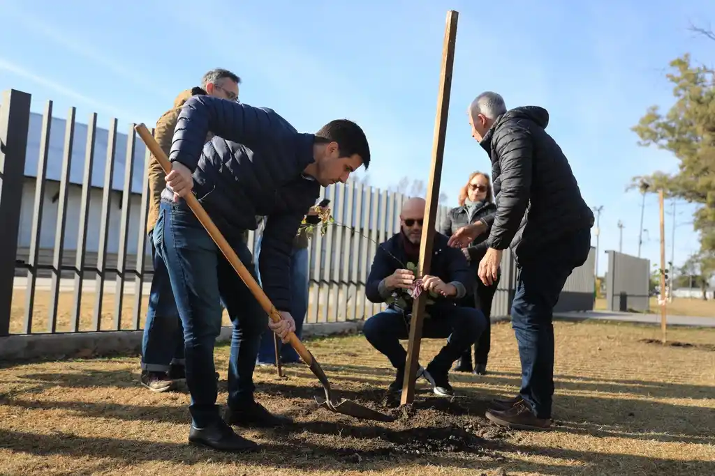 Plantaron 20 árboles x 20 años de festival