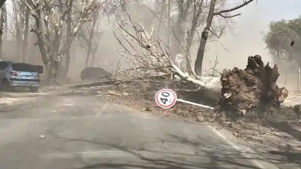 Viento zonda en Mendoza produjo grave daños e incidentes