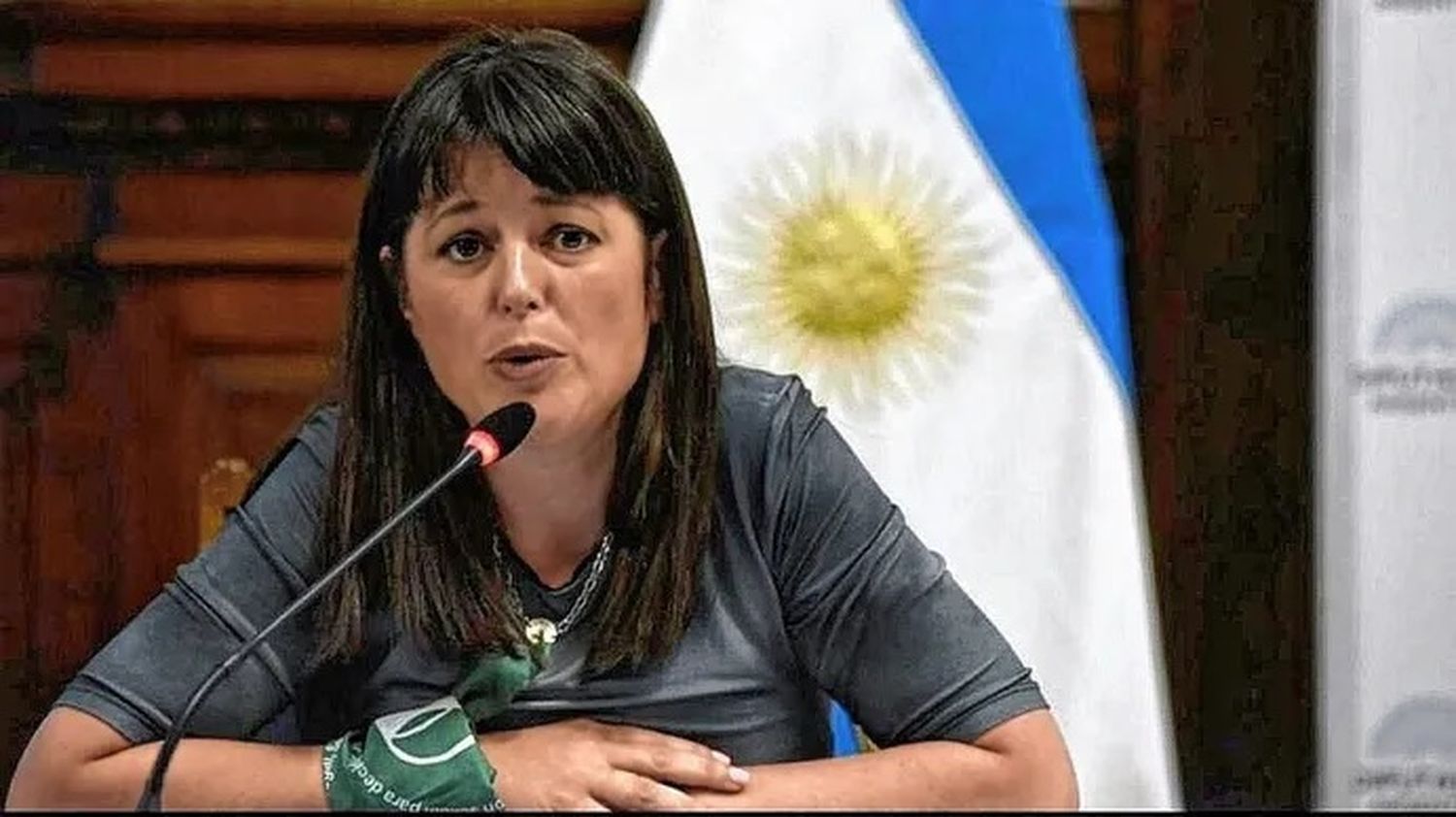 Diputada Carolina Gaillard.