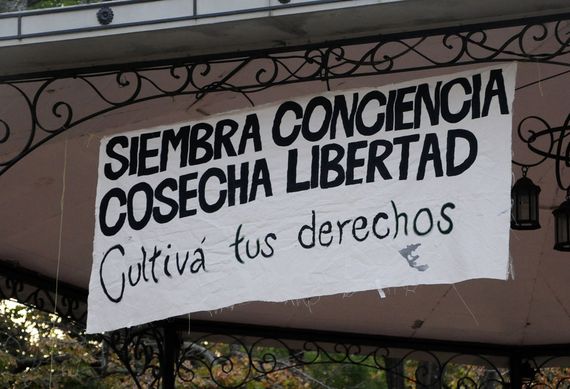 Tandil se sumó al pedido para que se implemente el Registro del Programa Cannabis