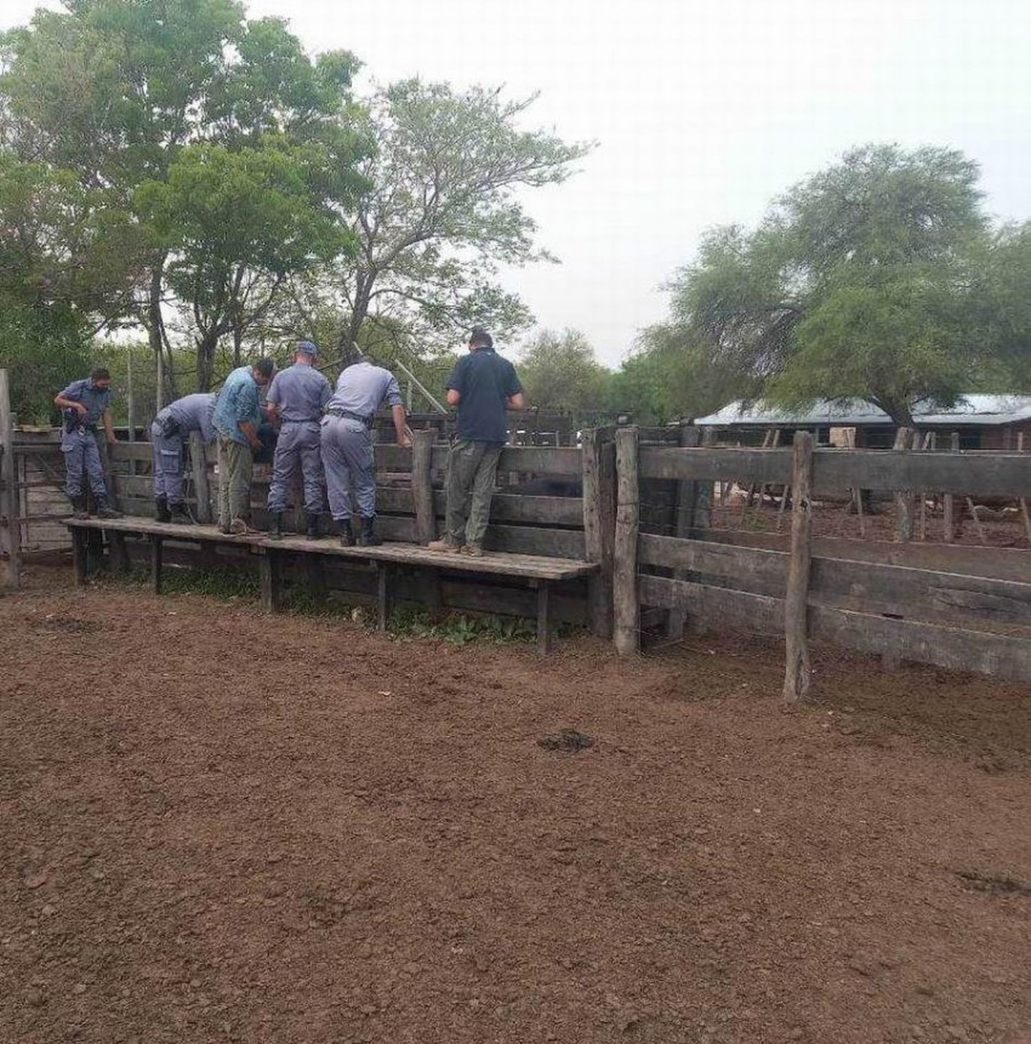 Faena ilegal: efectivo policial fue detenido por irregularidad en control de carguío