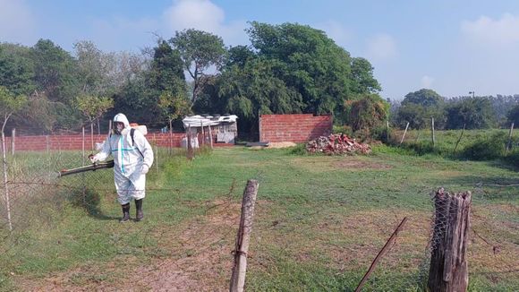 Dengue en San Pedro: dieron de alta a la paciente internada en el Hospital
