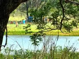 ¿EL FIN DE LOS TIEMPOS? Hallan cadáver descuartizado de una mujer en una laguna en Portuguesa