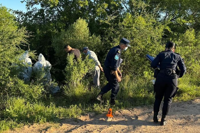 femicidio pablo laurta - 3