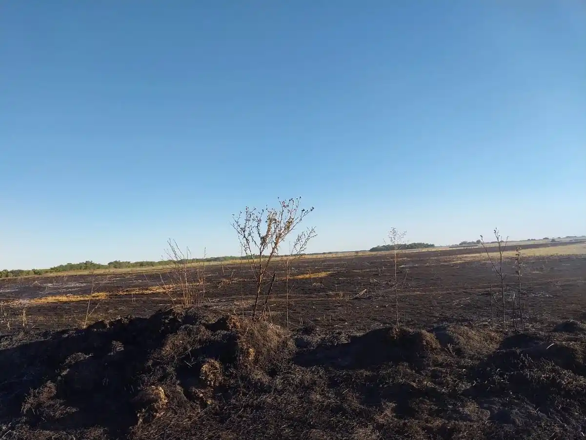 Foto: Castelli Diario