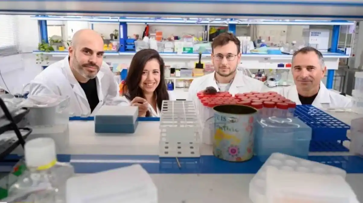 Científicos desarrollan un nuevo anticuerpo que conecta células clave para combatir el cáncer