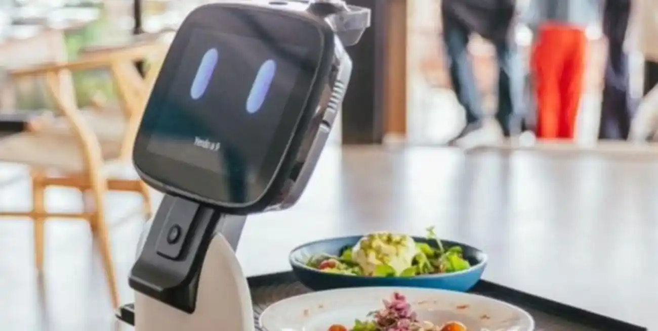 Así luce Caio, el robot mozo.